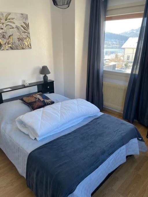 Entre Lac Et Montagne 4/6 Personnes Gerardmer Exterior photo